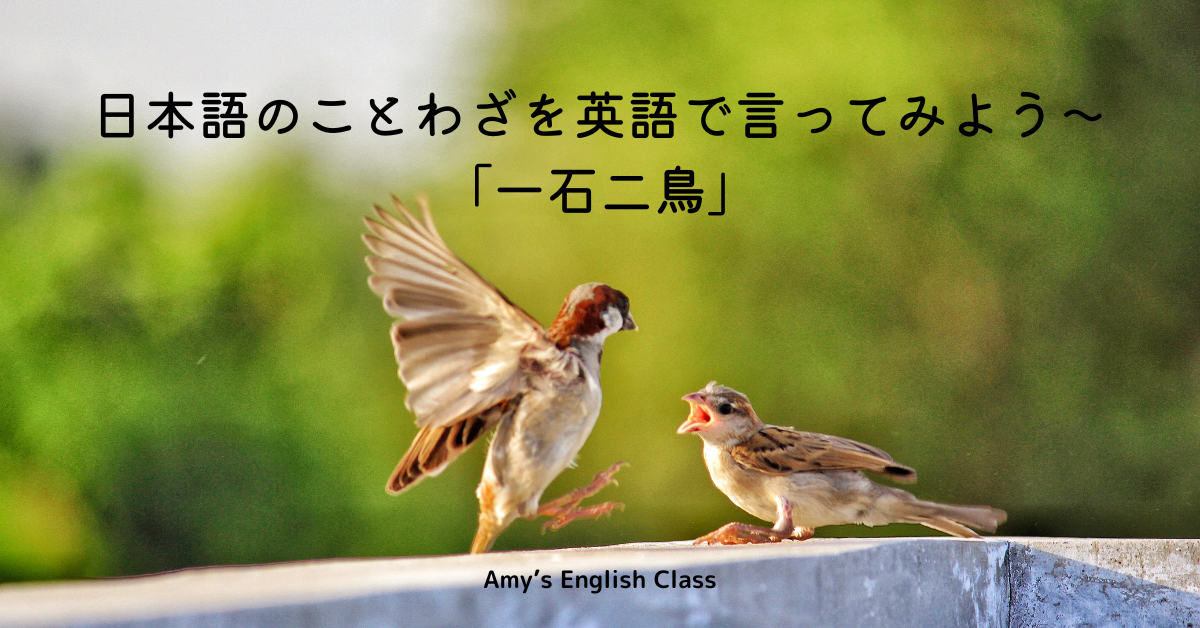 日本語のことわざを英語で言ってみよう 一石二鳥